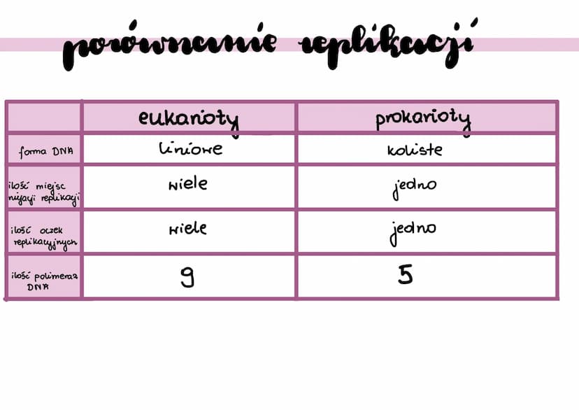 ●
●
●
replikacja DNA
polega na powielaniu ilości DNA
zachoolzi podczas jazy S
• proces anaboliczny
•w skład komórek potomnych wchodzi jedna 