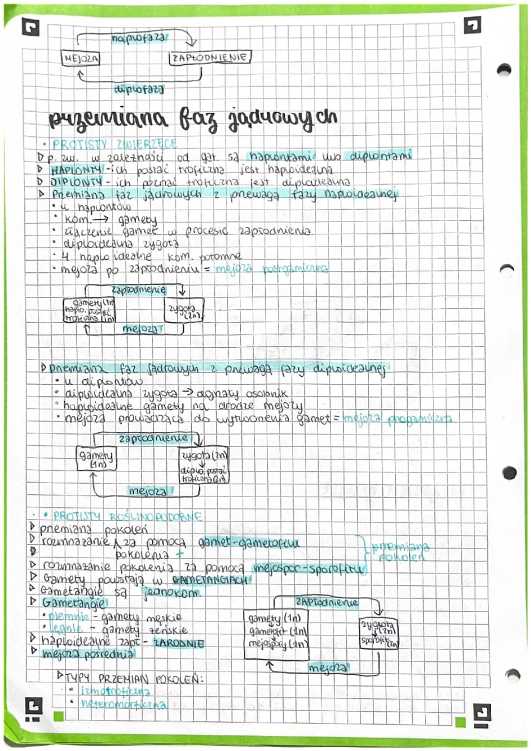 PROTISTY
proste organizmy
eukariotytani
Królestwo protistów jest taksonem parauletycznym, pochodzącym
od wspólnego przodka, kisry jest takze