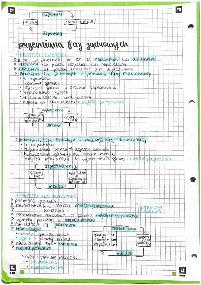 PROTISTY
proste organizmy
eukariotytani
Królestwo protistów jest taksonem parauletycznym, pochodzącym
od wspólnego przodka, kisry jest takze