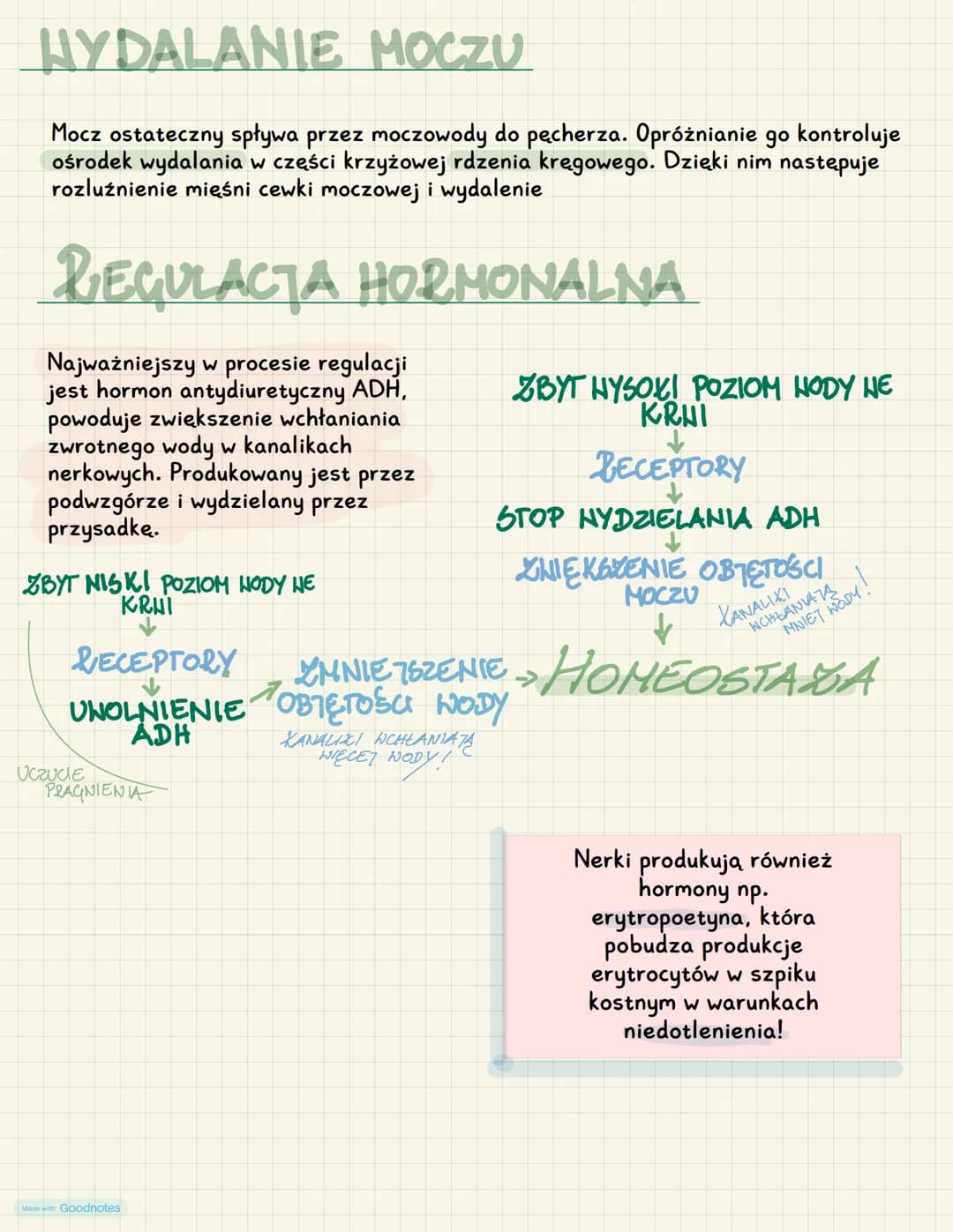 BUDONA I FUNKCHONNANIE UŁŁADU NOCZONEGO
FUNKCJE UKŁADU MOCZONEGO :
✔wydalanie - usuwanie zbędnych produktów przemiany materii
✔ osmoregulacj