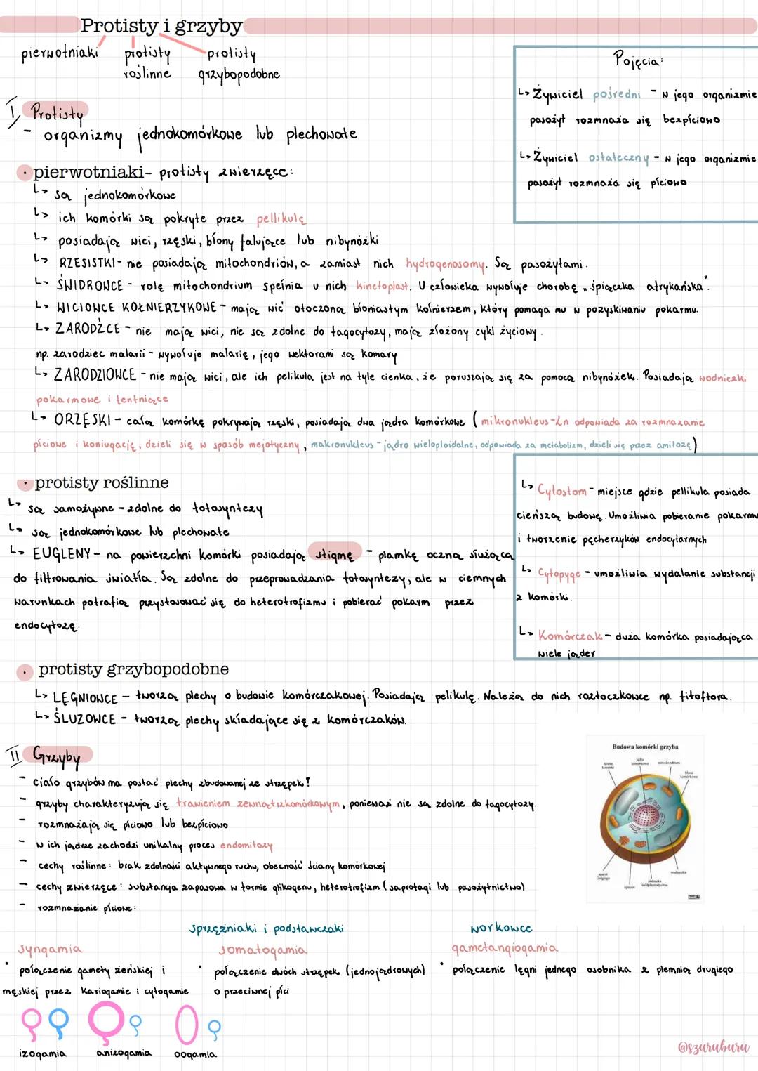 Protisty i grzyby - Kluczowe informacje biologiczne