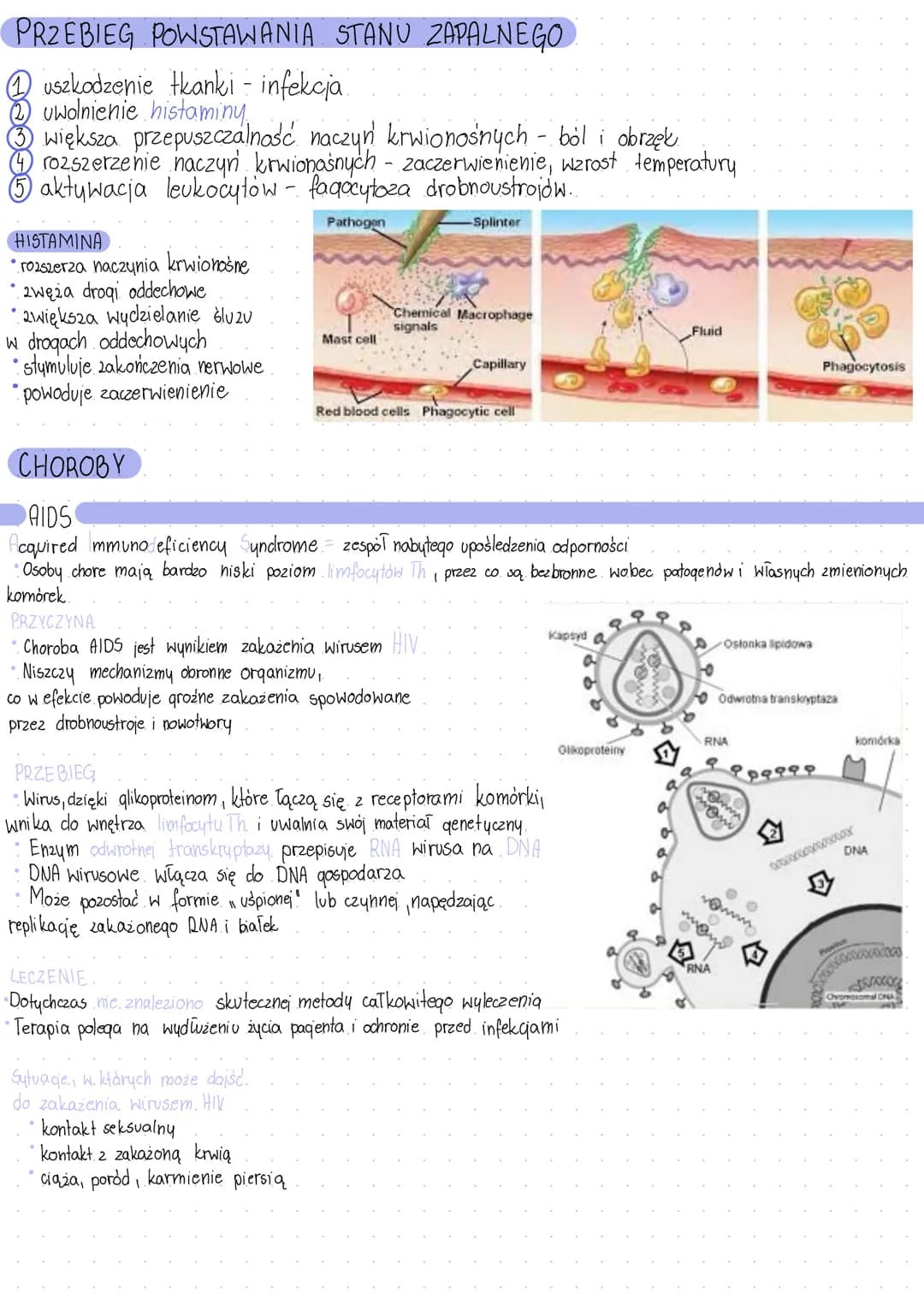 UKŁAD ODPORNOŚCIOWY
Jest to uklad
rozproszony.
Tworzą go wszystkie narządy układu limfatycznego
Podstawową zdolnością układu immunologiczneg