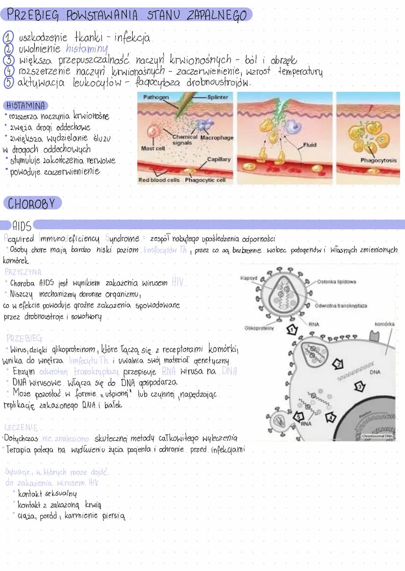UKŁAD ODPORNOŚCIOWY
Jest to uklad
rozproszony.
Tworzą go wszystkie narządy układu limfatycznego
Podstawową zdolnością układu immunologiczneg