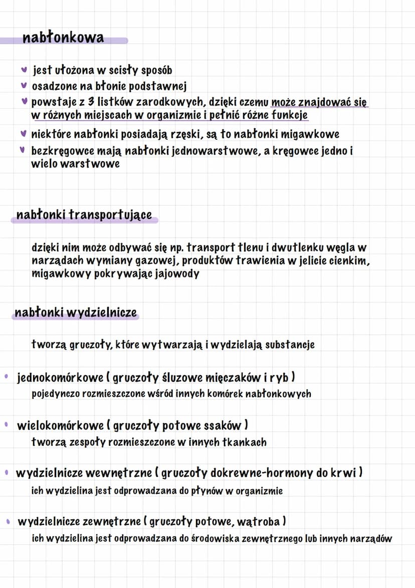 tkanki
nabłonkowa
wielowarstwowa
v płaska
przejściowa
miesniowa
gładka
łączna
płynna
vkrew
limfa
nerwowa
neurony
oporowa
kostna
✓ chrząstna
