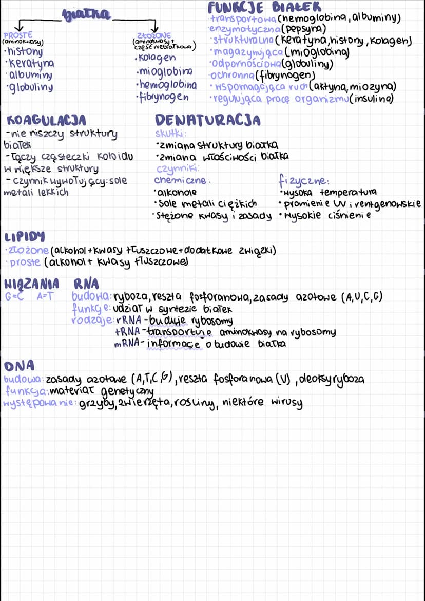 CHEMICZNE PODSTAWY ŻYCIA
Makro elementy
↓
pozostate:
Ca, Mg, K, Na, a
biogenne:
C,H,O,N,S,P
Mikroelementy
FUNKCJE WĘGLOWODANÓW:
-materiał bu