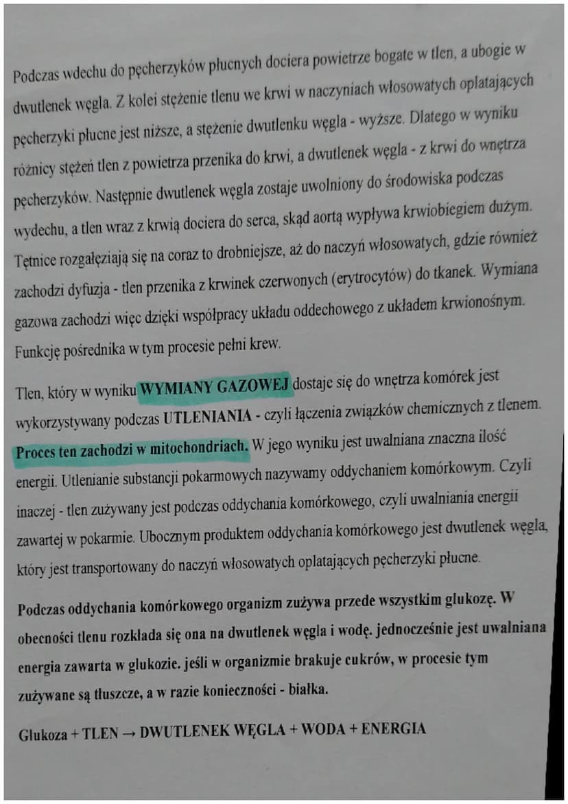 Mechanizm oddychania
Termin "oddychanie" odnosi się do:
- oddychania płucnego, czyli wymiany gazowej zachodzącej w pęcherzykach płucnych
- o