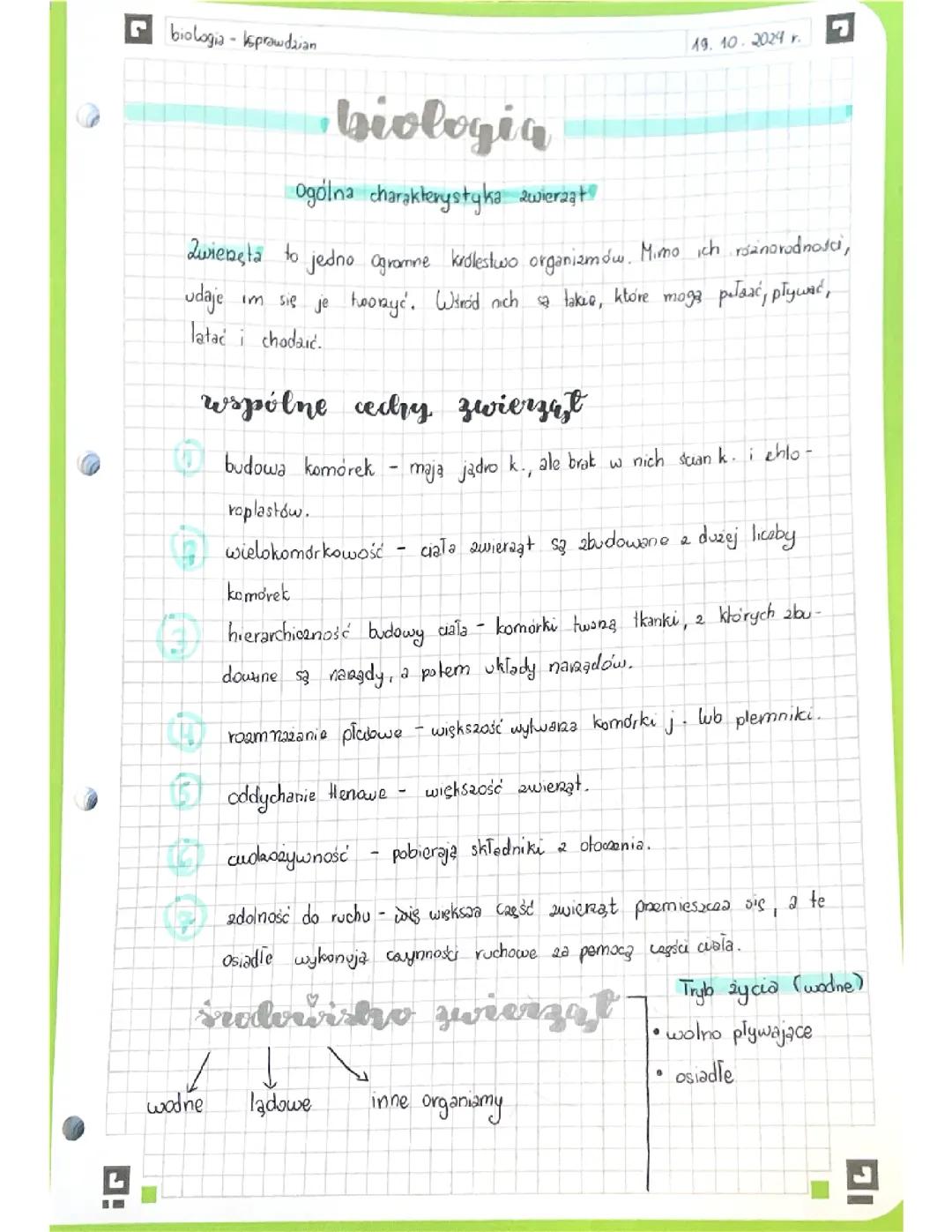 Ogólna Charakterystyka Zwierząt – Kluczowe Fakty i Cechy