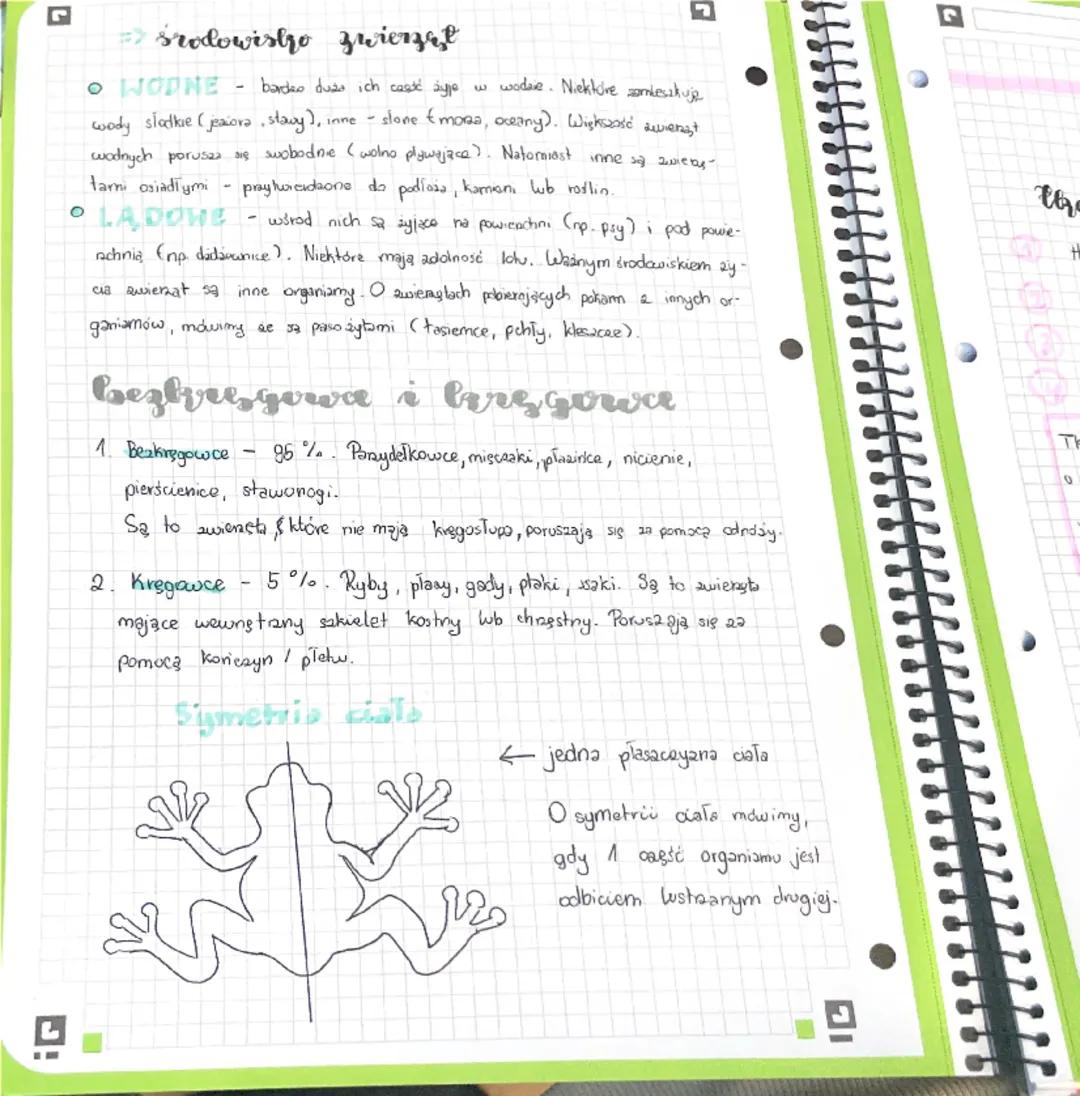 biologia-sprawdzian
19. 10. 2024 r.
biologia
Ogólna charakterystyka zwierząt
Zwierzęta to jedno ogromne królestwo organizmów. Mimo ich różno