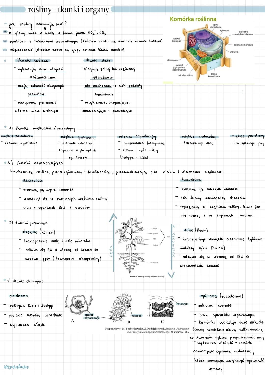 jak rośliny zdobywają
2 gleby wraz
formie jonów NO, NO,
symbioza 2 bakteriami brodawkowymi (źródíem azotu są obumarie komórki bakterii).
- m