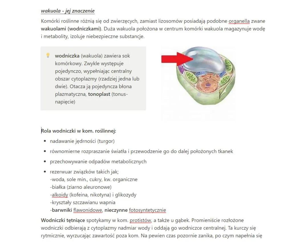 Komórka: Budowa wakuoli, cytoszkieletu, wici, rzęsek i centrosomu