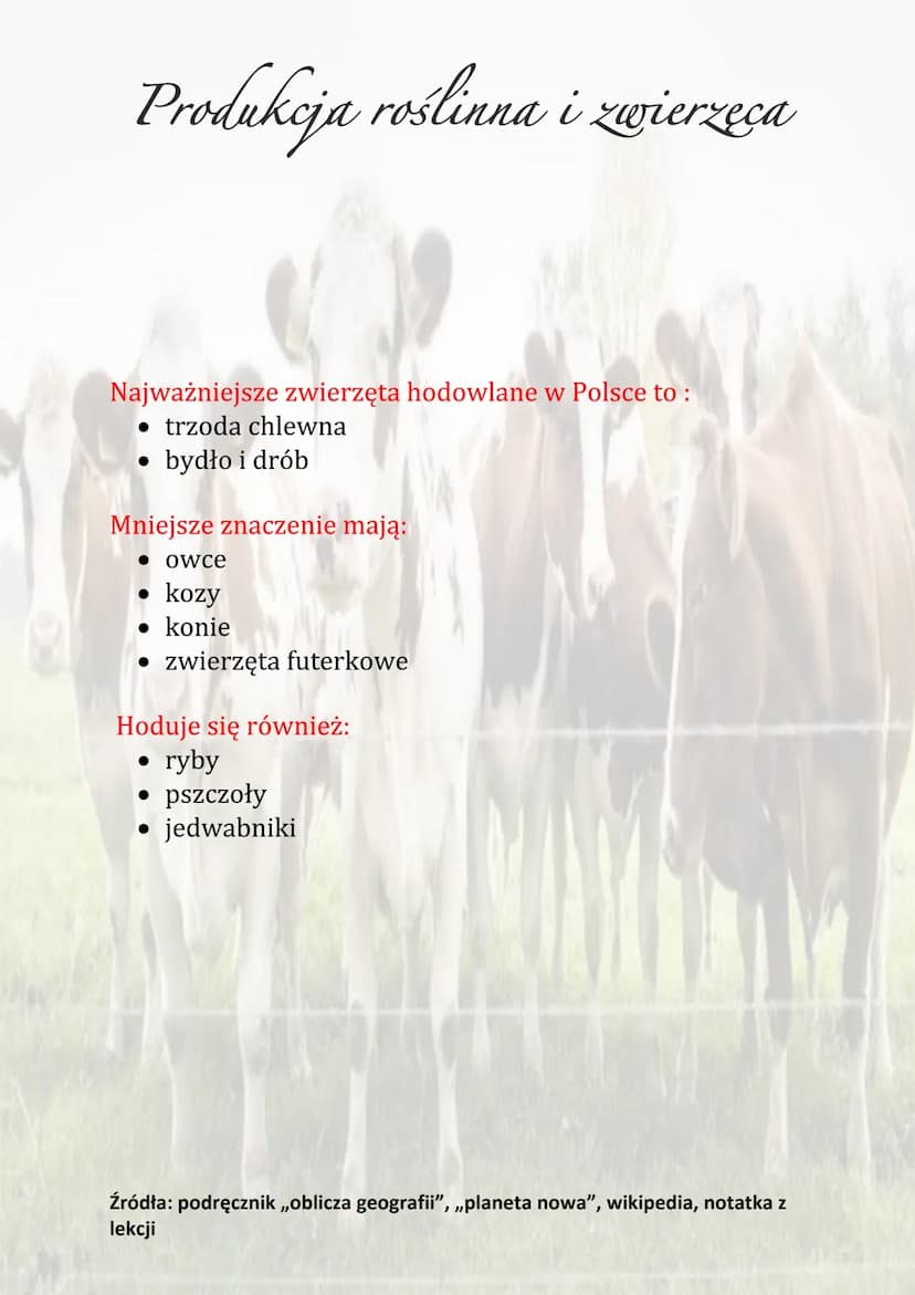 Produkcja roślinna i zwierzęca
Produkcja zwierzęca obejmuje chów i hodowlę zwierząt.
Chów zwierząt to stworzenie zwierzętom użytkowym
i hodo