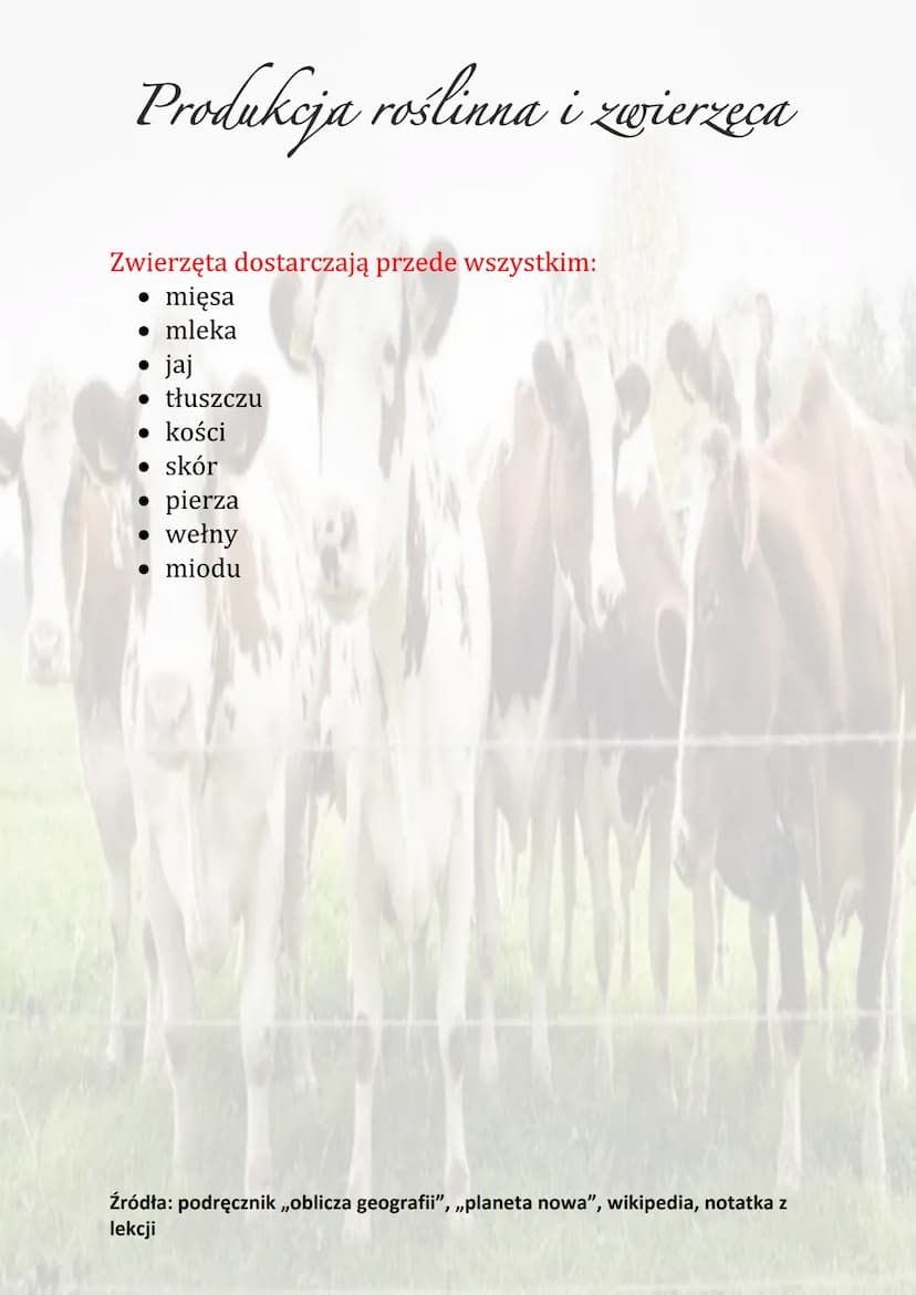 Produkcja roślinna i zwierzęca
Produkcja zwierzęca obejmuje chów i hodowlę zwierząt.
Chów zwierząt to stworzenie zwierzętom użytkowym
i hodo