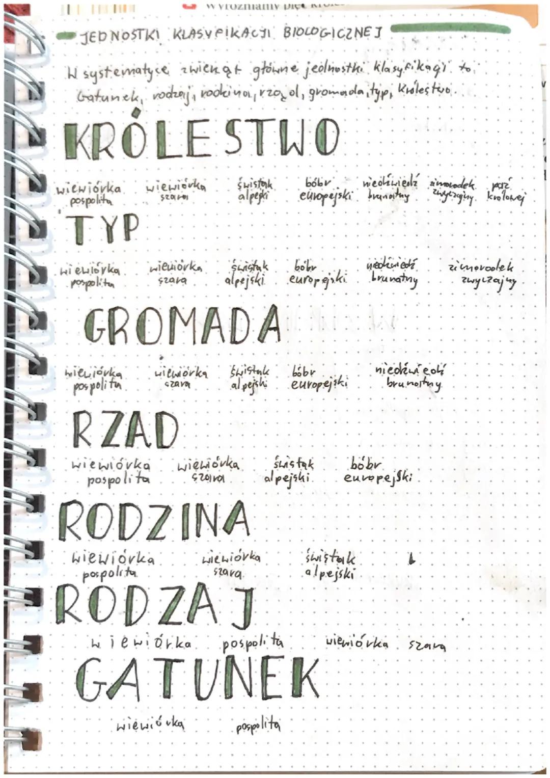 ### Daiak

# klasyfikaja organizmów

- Systematyka - to dziedzina biologii, której zadaniem jest.
- dzielenie organizmów na mniejsze grupy, 