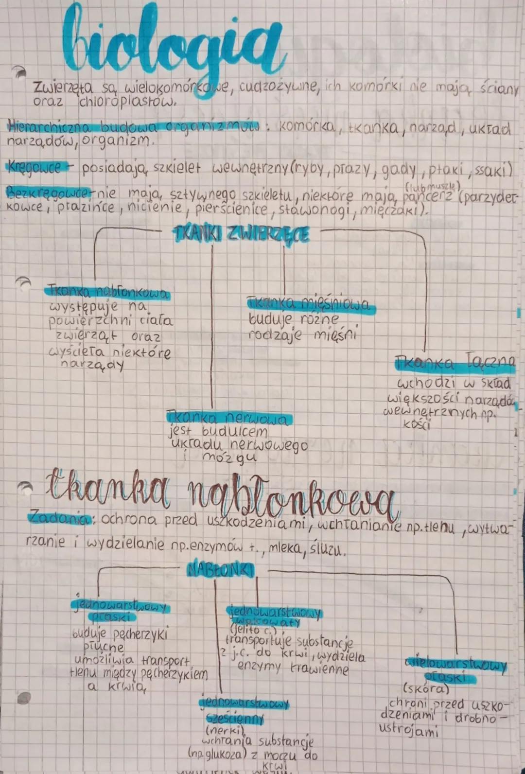 biologia
Zwierzęta są wielokomórkowe, cudzozyune, ich komorki nie mają ściany
oraz chloroplastów.
6
Hierarchiczna budowa organizmów komórka,