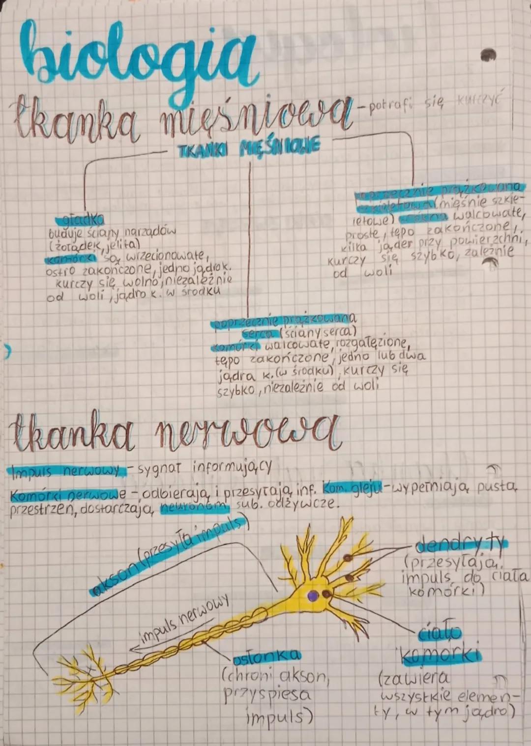 biologia
Zwierzęta są wielokomórkowe, cudzozyune, ich komorki nie mają ściany
oraz chloroplastów.
6
Hierarchiczna budowa organizmów komórka,