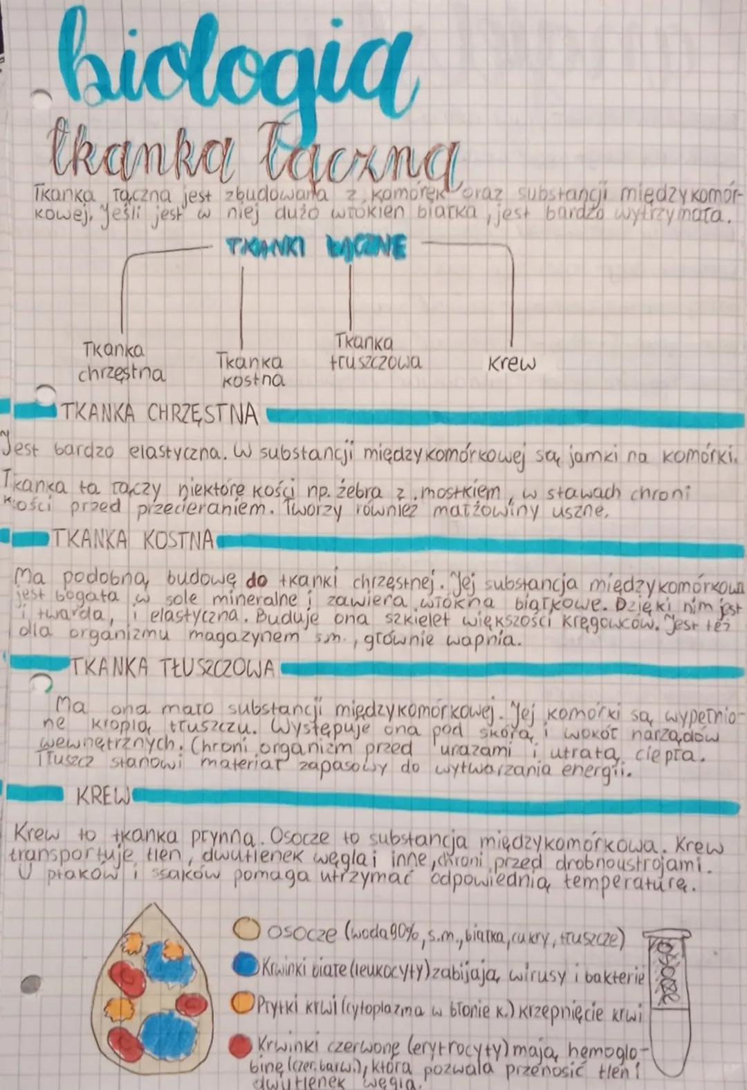 biologia
Zwierzęta są wielokomórkowe, cudzozyune, ich komorki nie mają ściany
oraz chloroplastów.
6
Hierarchiczna budowa organizmów komórka,