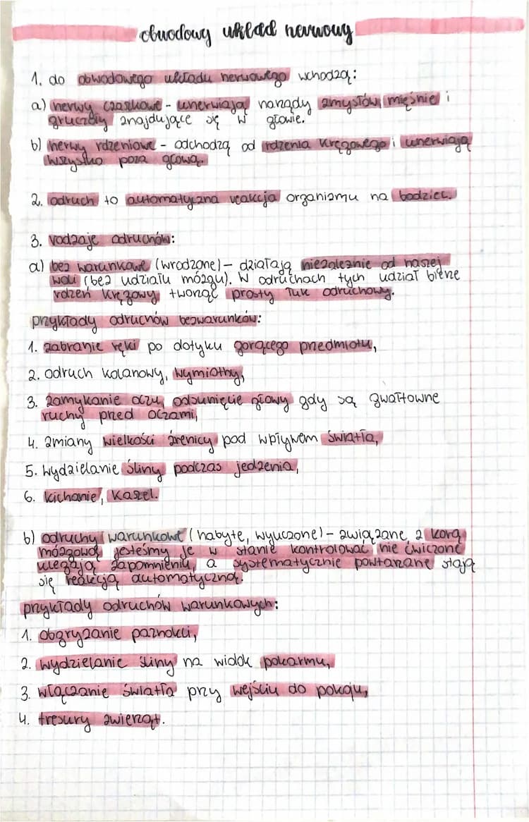 Know Obwodowy układ nerwowy. Układ nerwowy.  thumbnail