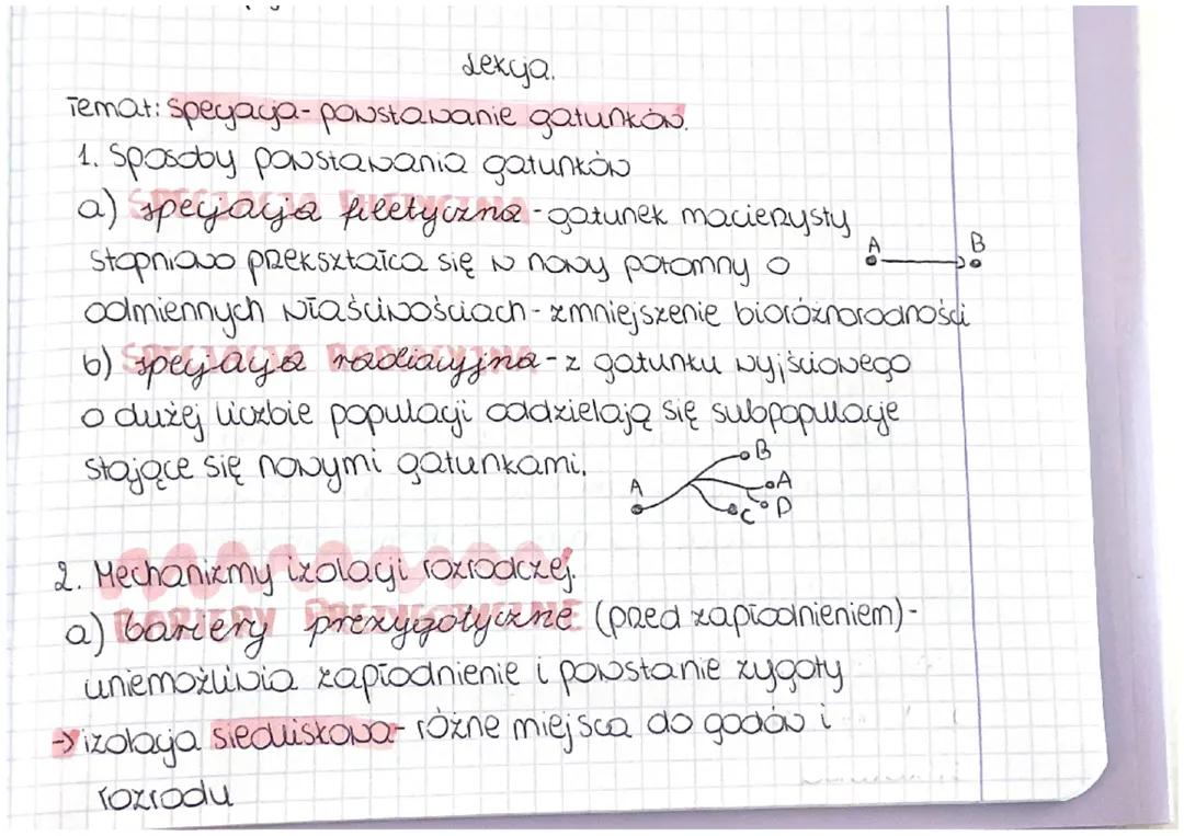 Proces Specjacji: Tworzenie Nowych Gatunków