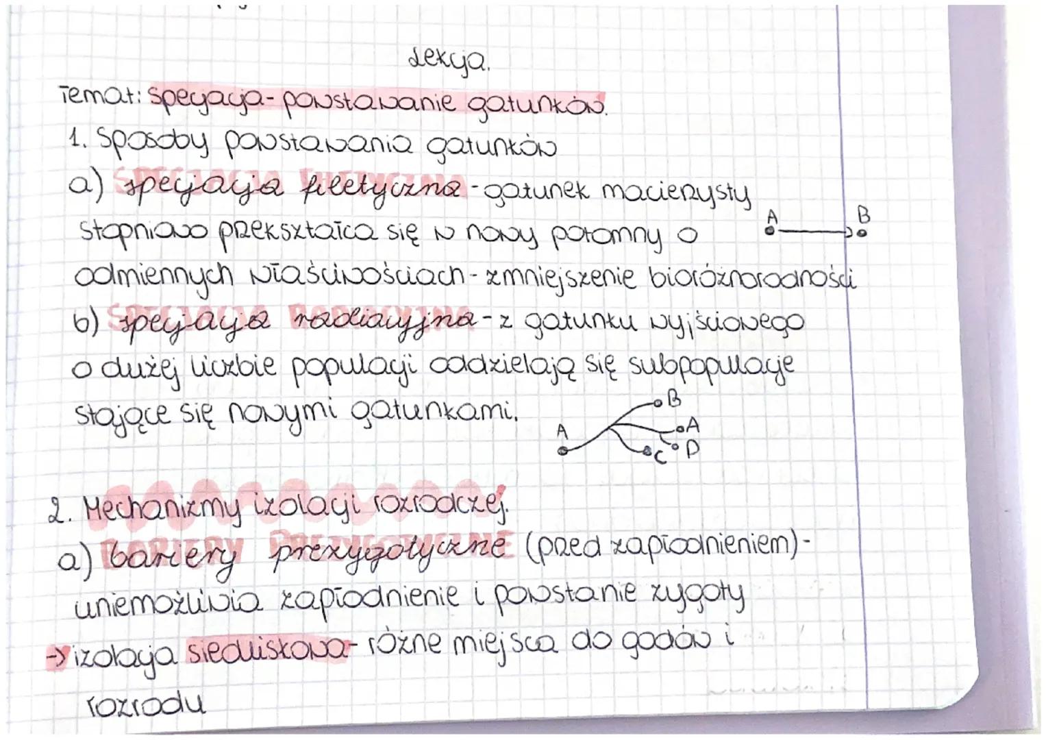 Lekya.
Temat: speyaya- powstawanie gatunków.
1. Sposoby powstawania gatunków

A
B
a) spejaja filetyczna - gatunek macierzysty
stopniowo prek