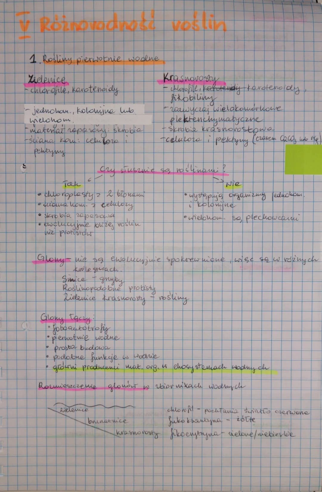 f
✓ Relvadite vestin
1. Rosling pierwotnie wodne
Zielenice
-chlorofile, karotenoidy
- jednohom., kolonijne lub
wielohom.
-matemal ropa sony: