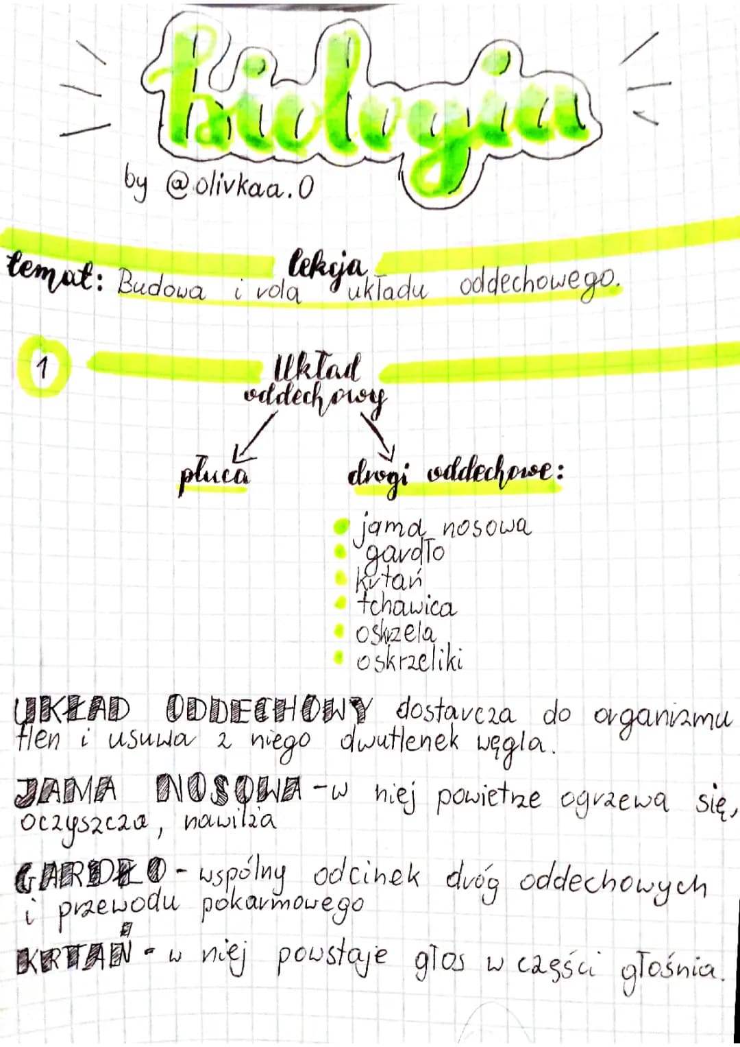 Układ oddechowy klasa 7 