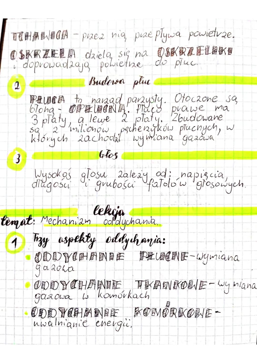 > Babyu
by @olivkaa.0
temut: Budowa i vola
1
lekija
✓
pluca
układu oddechowego.
Układ
oddechowy
drogi oddechowe:
jama nosowa
gard To
kutań
t