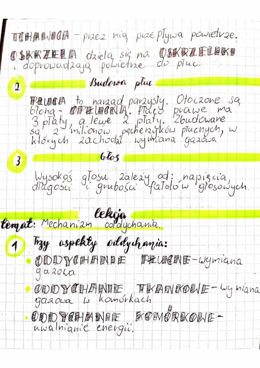 > Babyu
by @olivkaa.0
temut: Budowa i vola
1
lekija
✓
pluca
układu oddechowego.
Układ
oddechowy
drogi oddechowe:
jama nosowa
gard To
kutań
t