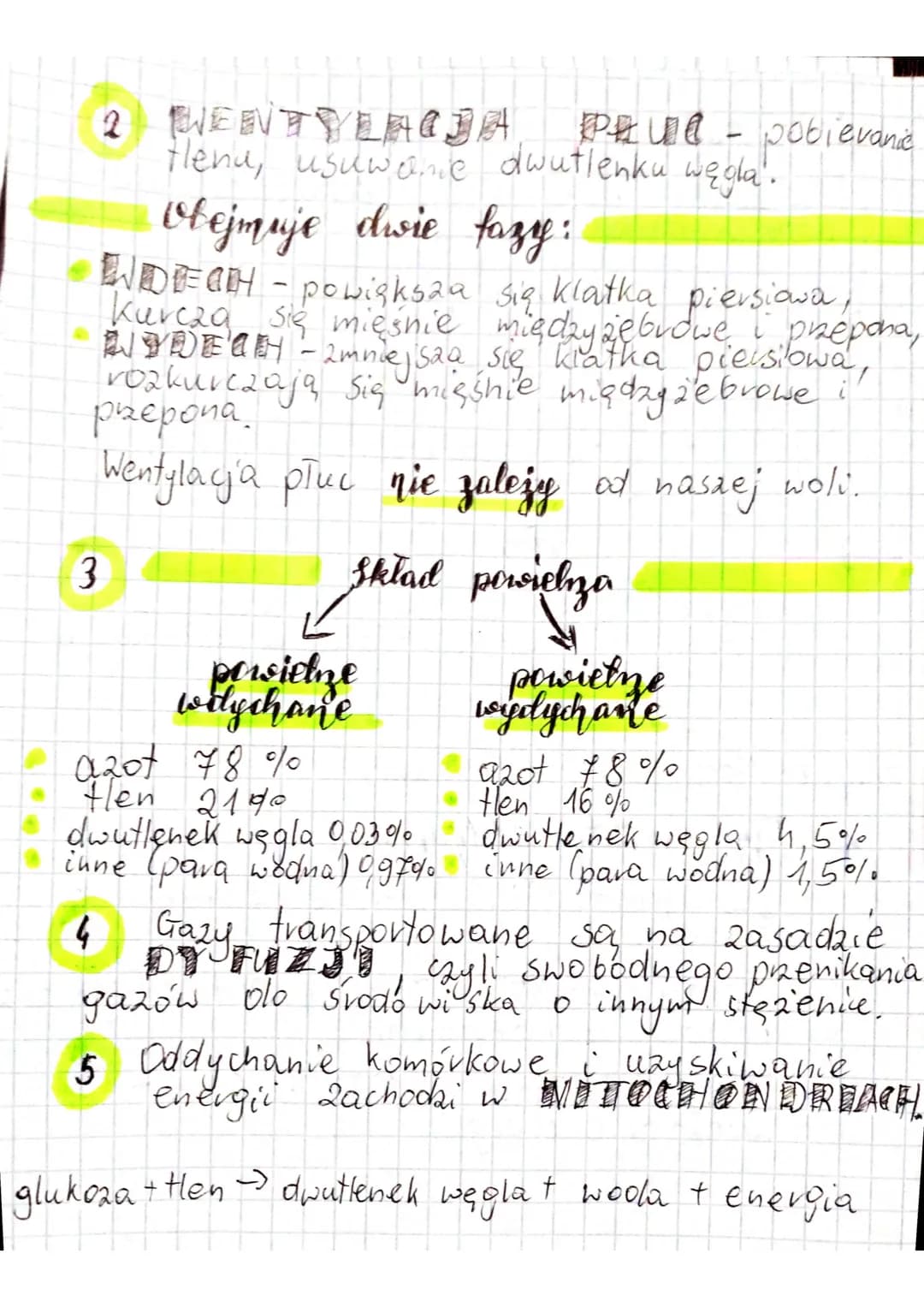 > Babyu
by @olivkaa.0
temut: Budowa i vola
1
lekija
✓
pluca
układu oddechowego.
Układ
oddechowy
drogi oddechowe:
jama nosowa
gard To
kutań
t