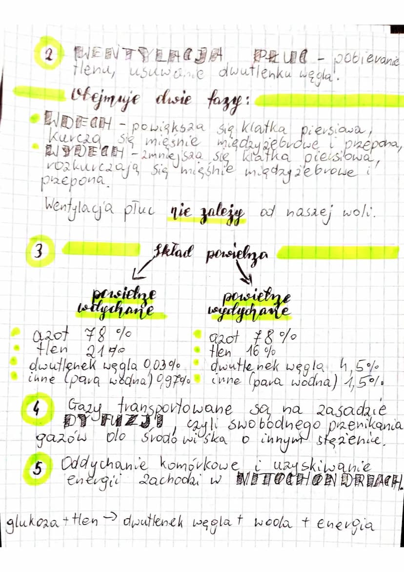 > Babyu
by @olivkaa.0
temut: Budowa i vola
1
lekija
✓
pluca
układu oddechowego.
Układ
oddechowy
drogi oddechowe:
jama nosowa
gard To
kutań
t