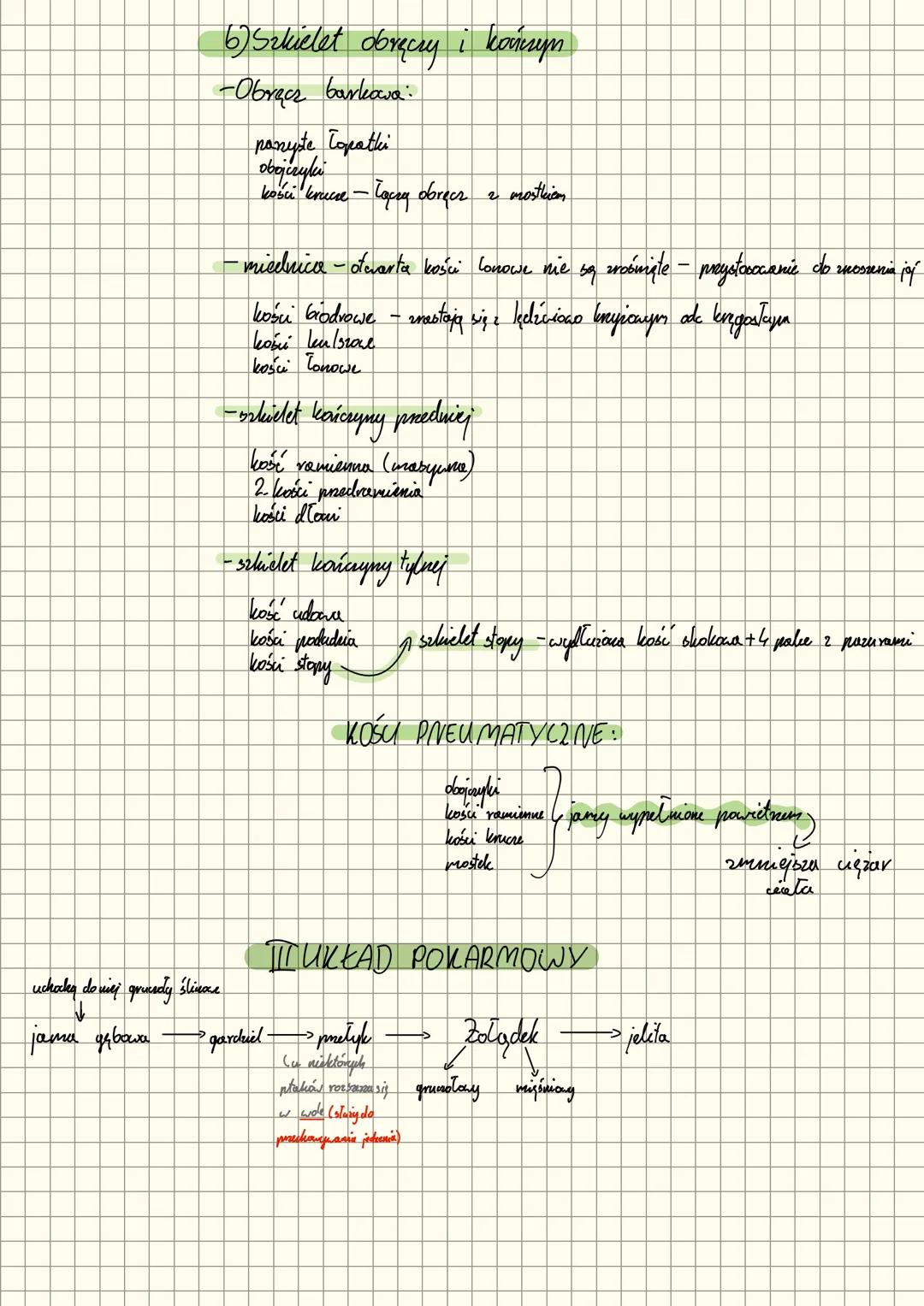 Lothi
PIAKI
Fwona
powierzchnie
lotne
I POKRYUE UACA PTAKÓW.
Skora
-> cienka
• pozbawiona gruesołów
шу затект утигб киртому
pióra konturowe
s