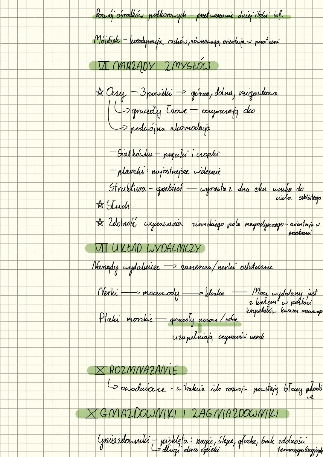 Lothi
PIAKI
Fwona
powierzchnie
lotne
I POKRYUE UACA PTAKÓW.
Skora
-> cienka
• pozbawiona gruesołów
шу затект утигб киртому
pióra konturowe
s