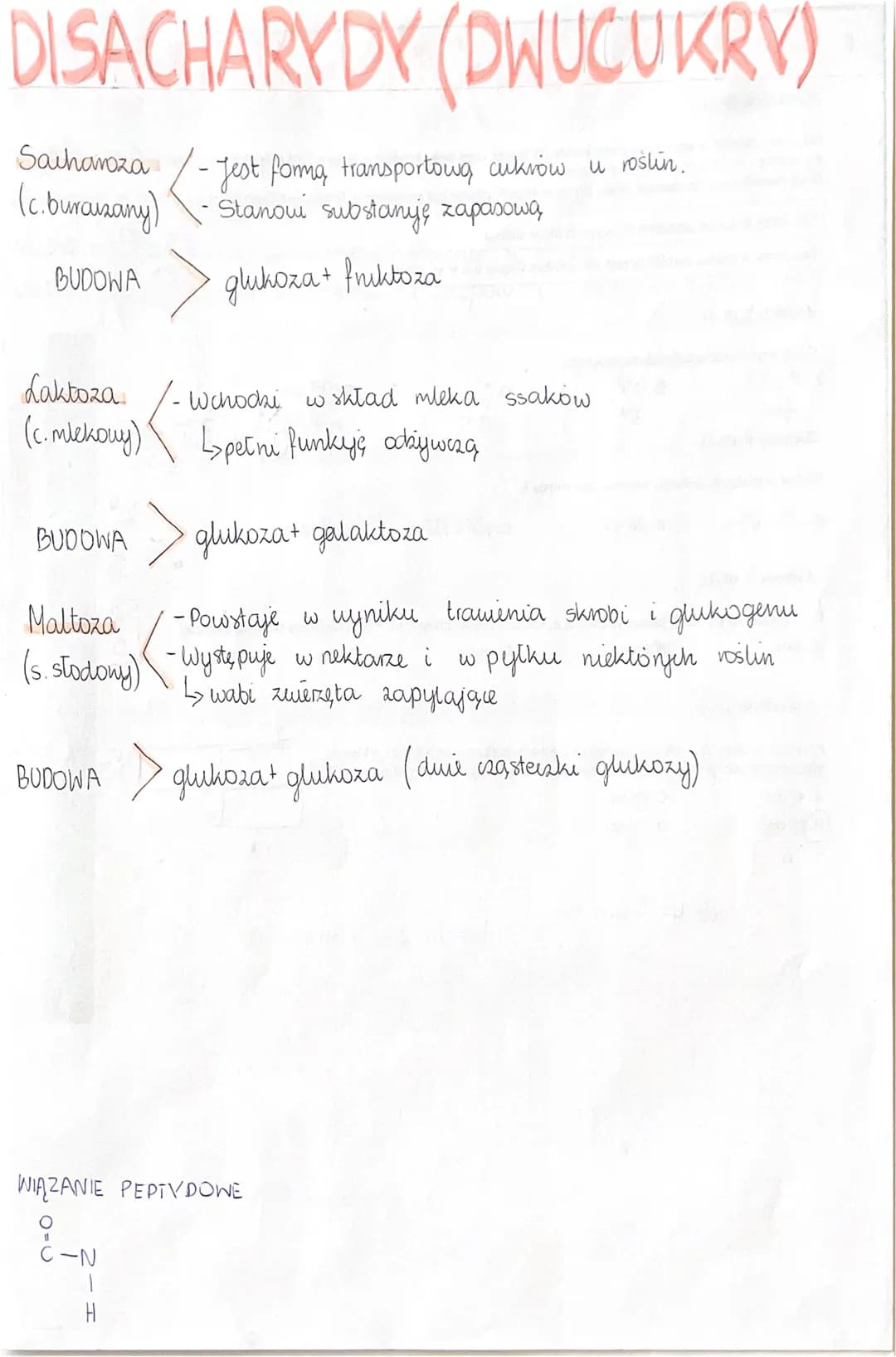 DISACHARYDY (DWUCUKRV)
-Jest forma transportową cukrów u roślin.
Stanowi substanije харахоша
glukoza + fruktoza
Sacharoza
(c.burcuzany)
BUDO