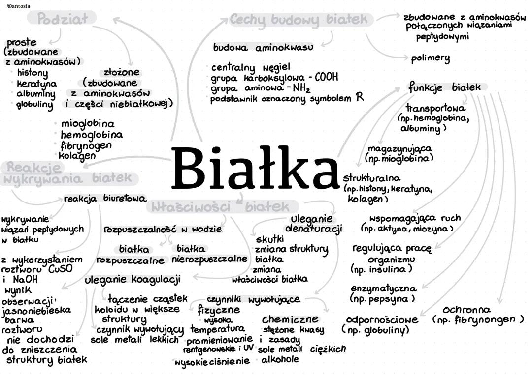 Białka