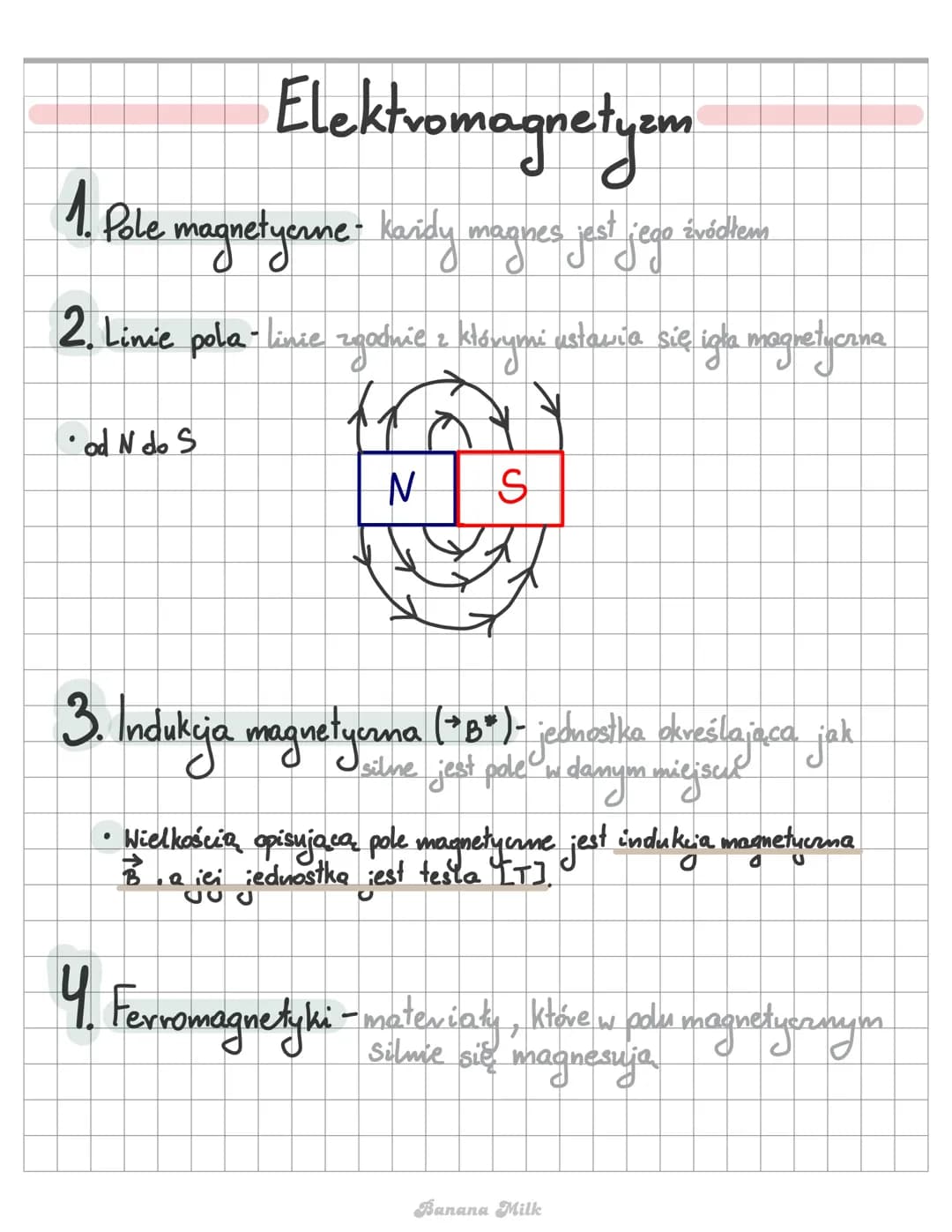 Elektromagnetyzm 