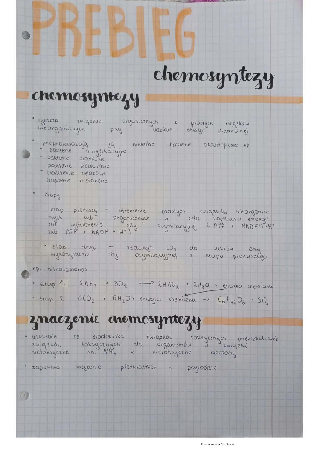 Chemosynteza: Etapy, Znaczenie i Gdzie Zachodzi - Przewodnik dla Dzieci