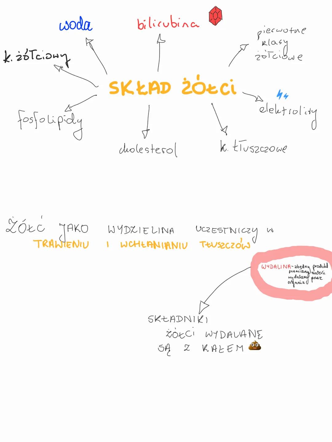 WAT ROBA
ODTRUWAJĄCI
neutralizuje toksyny jake alkokol (amonial
detoksykacja
mocznik
WYTWARZA
żółć
do trawienia
tłuszczow
ODPORNOŚCIONE
fago