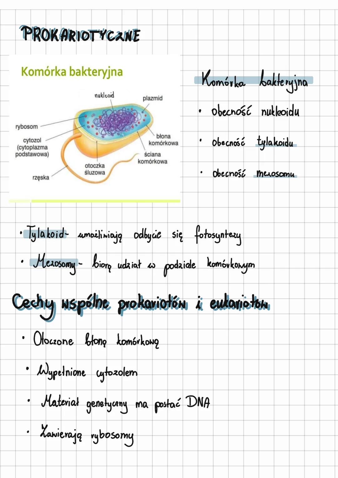 # KOMÓRKA

* EUKARIOTYCZNE

Budowa komórki zwierzęcej

Jądro
komórkowe Mitochondrium Wodniczka

Mikrotubula

Rybosomy

Retikulum
endoplazmat