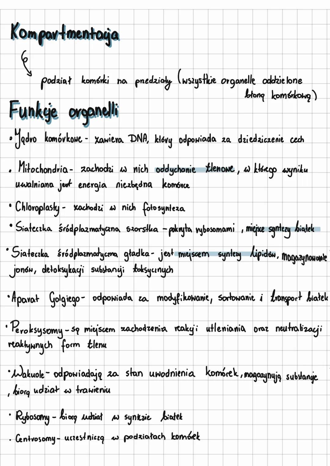 # KOMÓRKA

* EUKARIOTYCZNE

Budowa komórki zwierzęcej

Jądro
komórkowe Mitochondrium Wodniczka

Mikrotubula

Rybosomy

Retikulum
endoplazmat