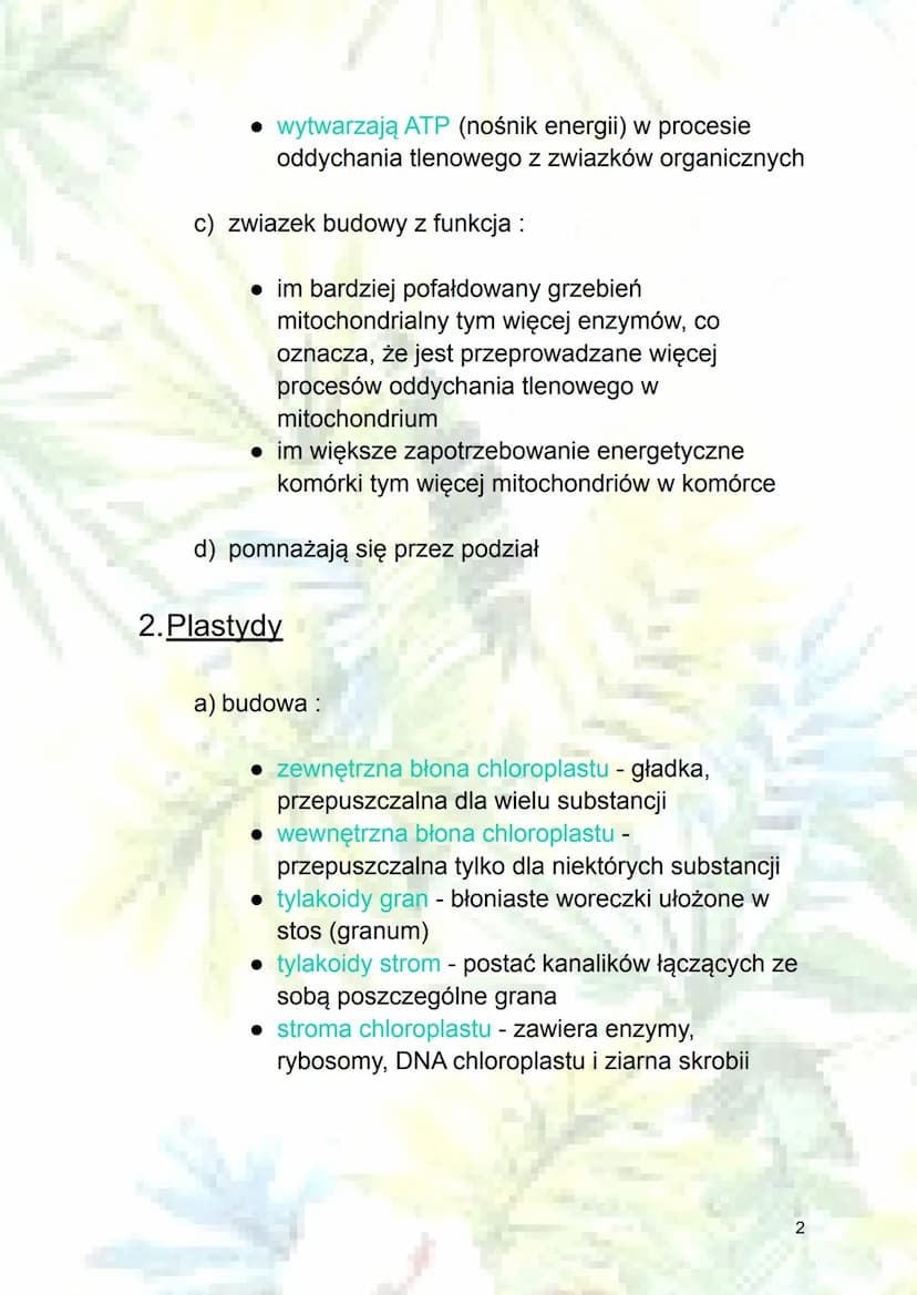 Mitochondrium, plastydy i teoria
endosymbiozy
1. Mitochondrium
a) budowa:
blona
zewnętrzna koliste DNA
rybosom
zewnętrzna błona mitochondriu
