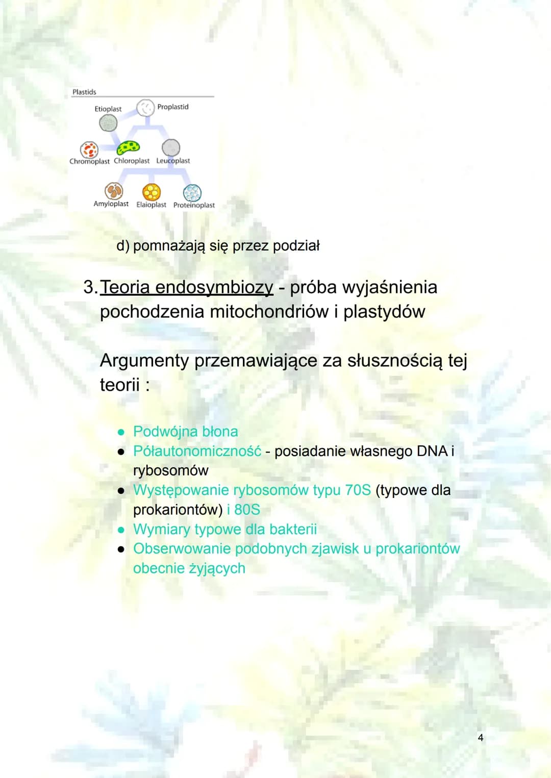 Mitochondrium, plastydy i teoria
endosymbiozy
1. Mitochondrium
a) budowa:
blona
zewnętrzna koliste DNA
rybosom
zewnętrzna błona mitochondriu