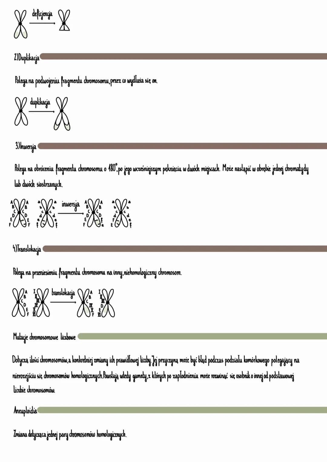 Mutacja (lac.mutatio-zmiana)
Nagla, skokowa zmiana materiału genetycznego komórki. Jest zjawiskiem losowym, podlegającym wpływom środowiska 