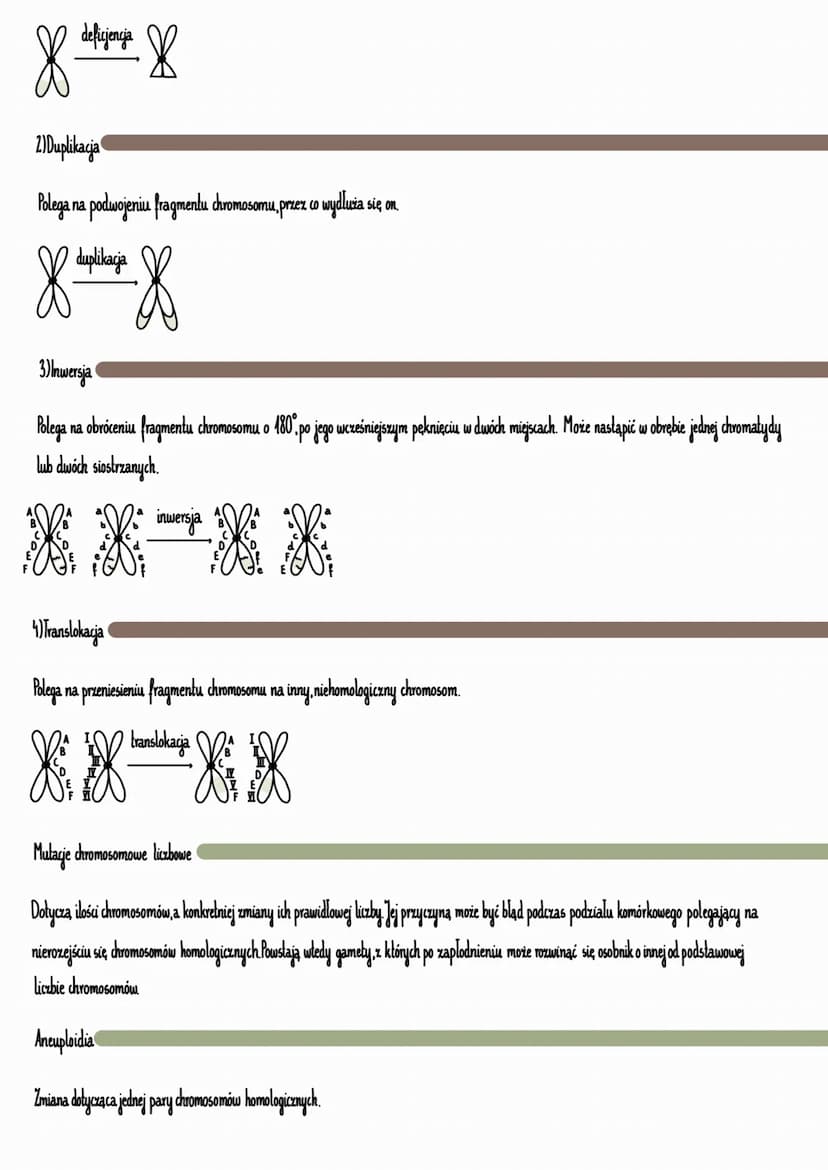 Mutacja (lac.mutatio-zmiana)
Nagla, skokowa zmiana materiału genetycznego komórki. Jest zjawiskiem losowym, podlegającym wpływom środowiska 