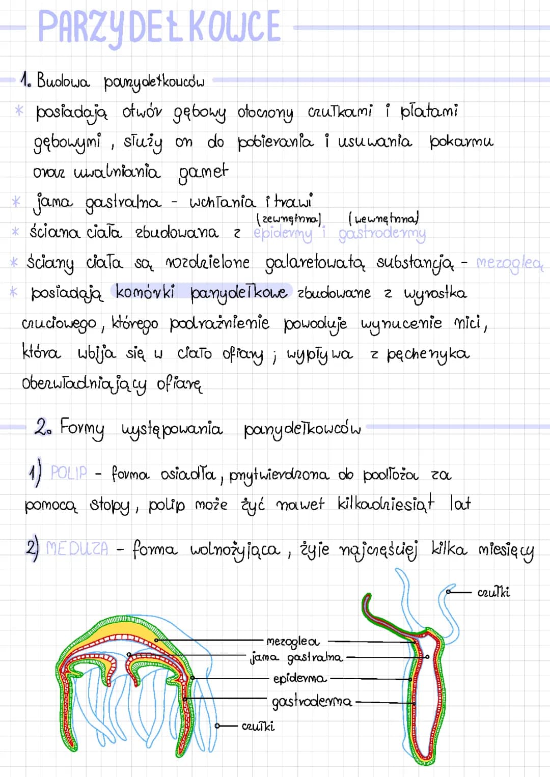 Budowa i Funkcje Parzydełkowców - BiologHelp