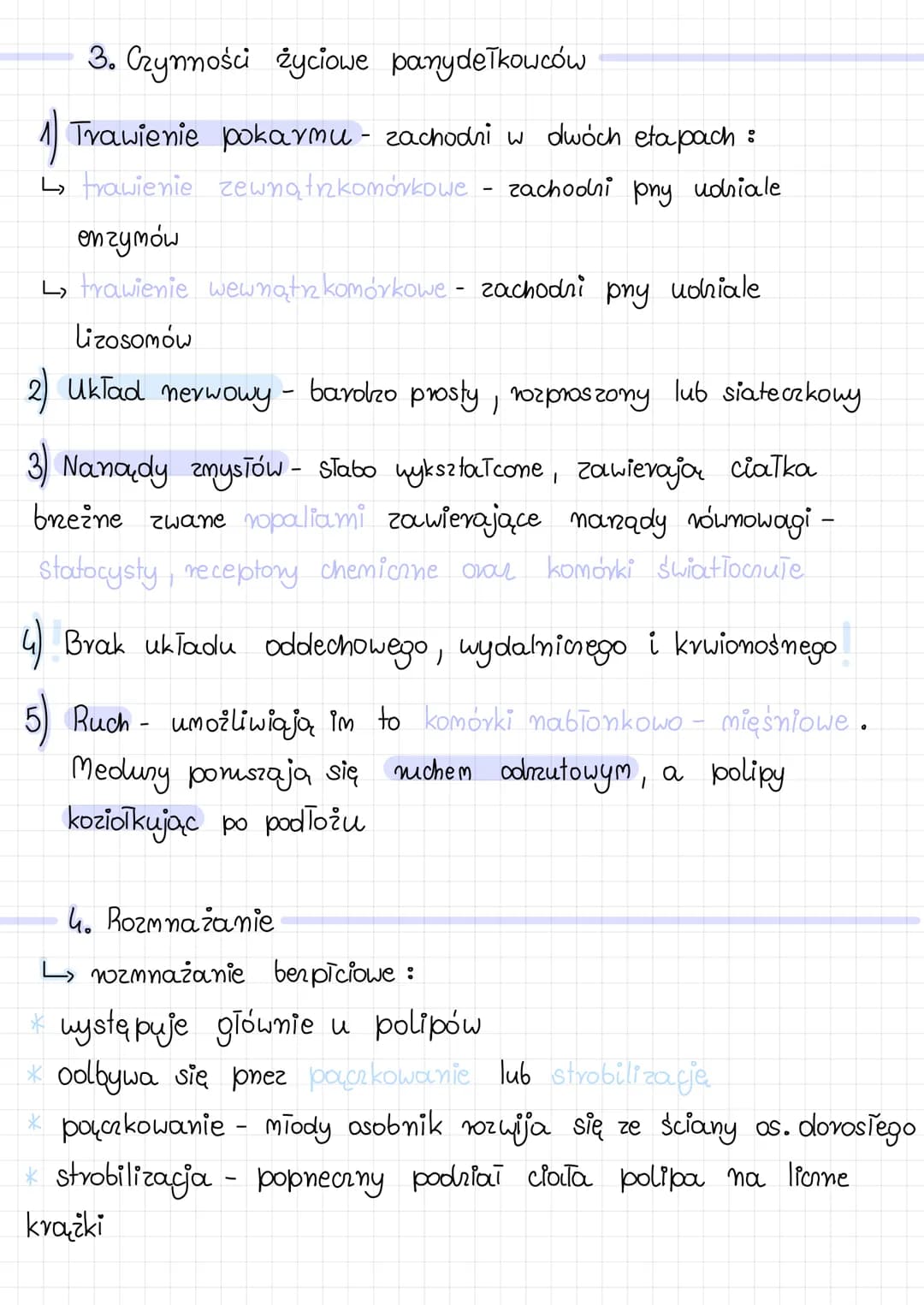 PARZYDEŁKOWCE
1. Budowa panydetkowców
*posiadają otwór gębowy otociony czułkami i płatami
gębowymi, służy on do pobierania i usuwania pokarm