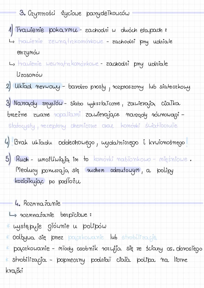 PARZYDEŁKOWCE
1. Budowa panydetkowców
*posiadają otwór gębowy otociony czułkami i płatami
gębowymi, służy on do pobierania i usuwania pokarm