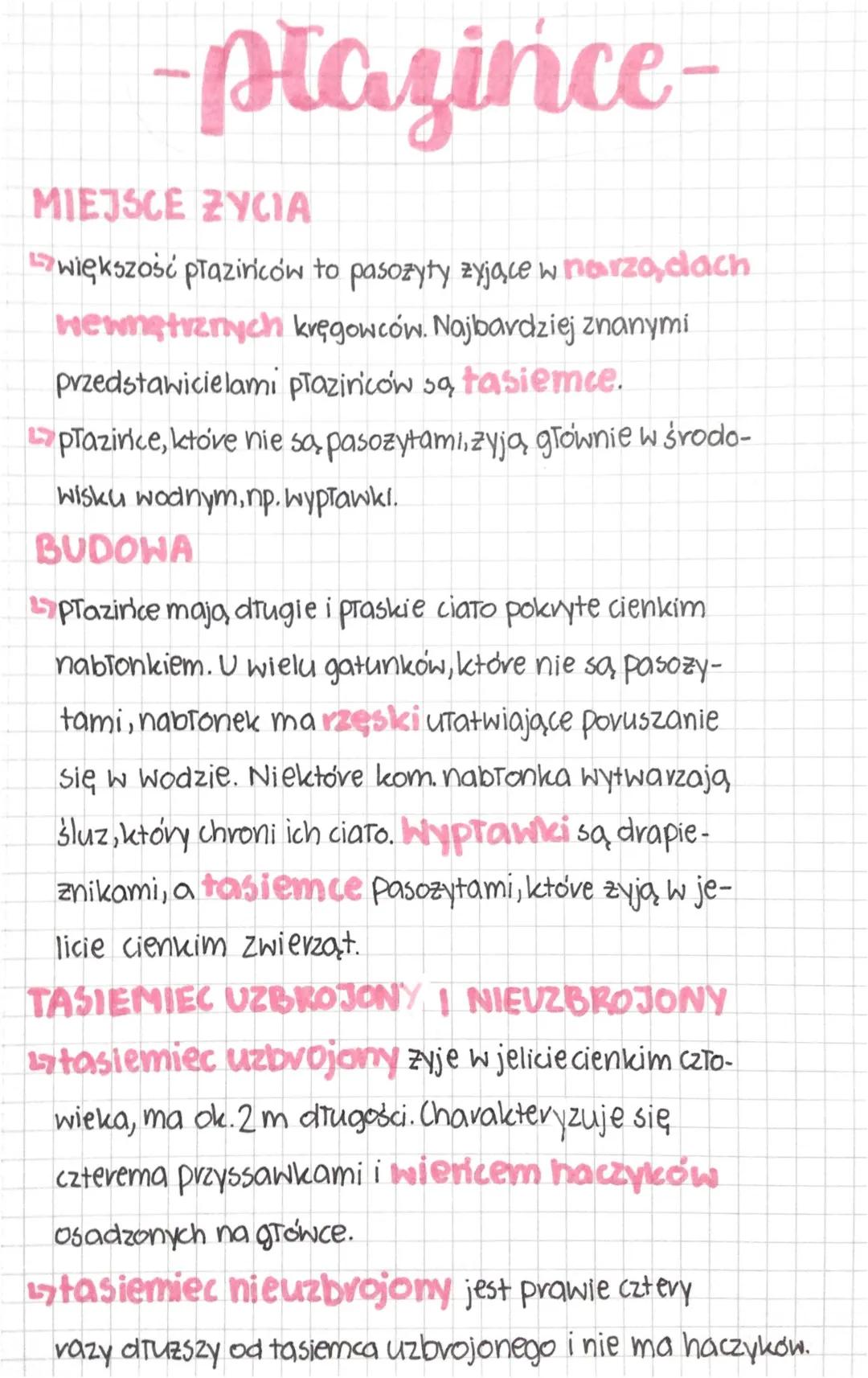 Biologia płazińce klasa 6 podręcznik Nowa Era 