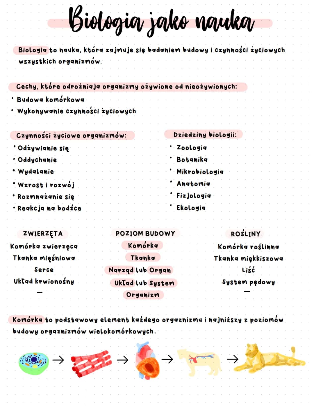 Cechy, które odrożniaja organizmy ożywione od nieożywionych:
•Budowa komórkowa
Wykonywanie czynności życiowych
●
Biologia jako nauka
Biologi