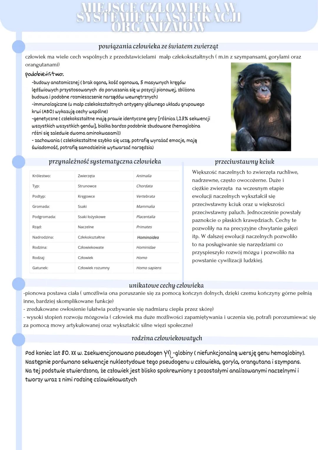 Miejsce człowieka w systemie klasyfikacji organizmów 