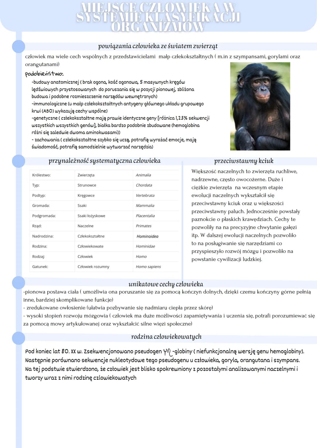 powiązania człowieka ze światem zwierząt
człowiek ma wiele cech wspólnych z przedstawicielami małp człekokształtnych (m.in z szympansami, go