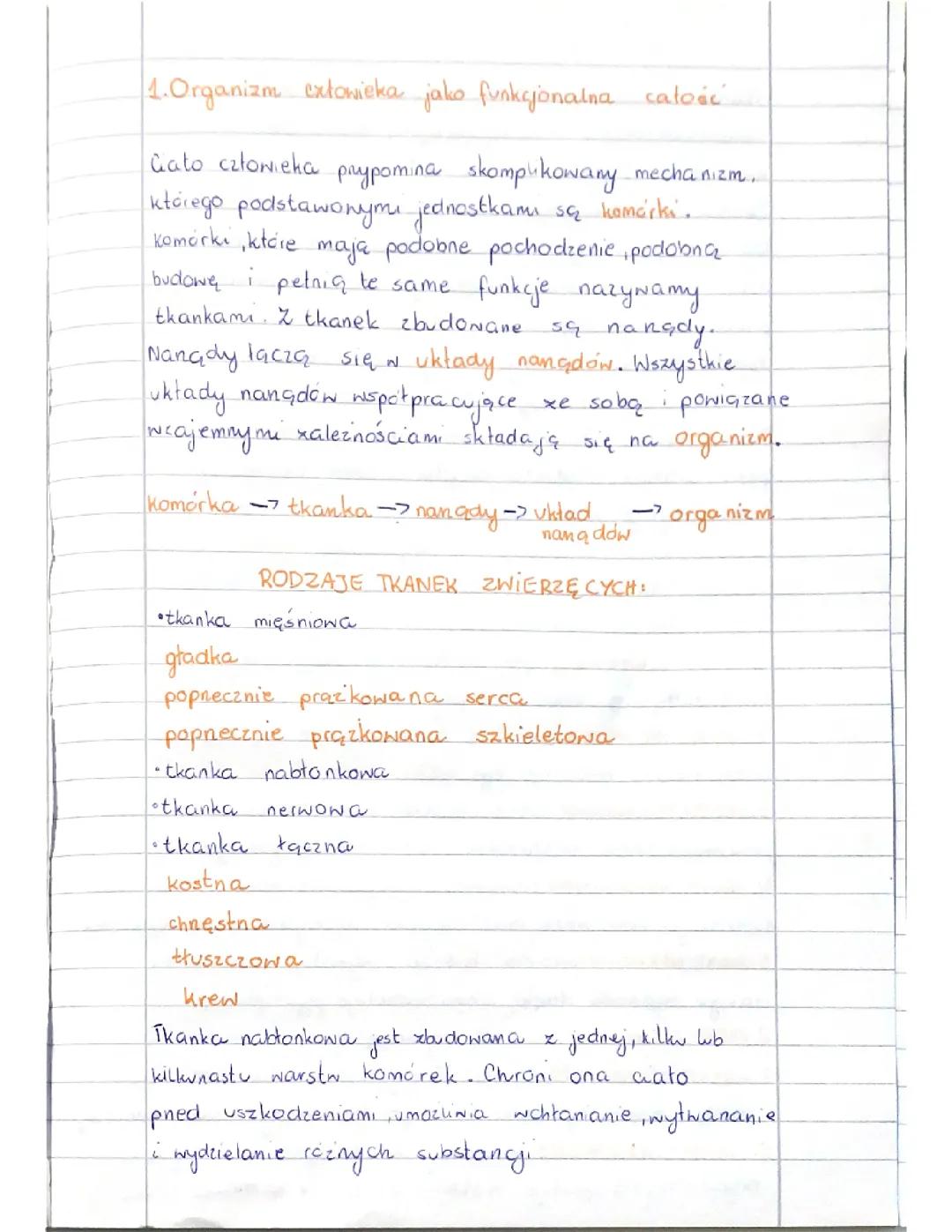 Organizm człowieka .Skóra -powłoka organizmu .